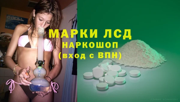 гашик Козловка