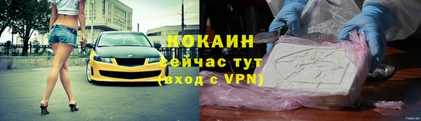 гашик Козловка