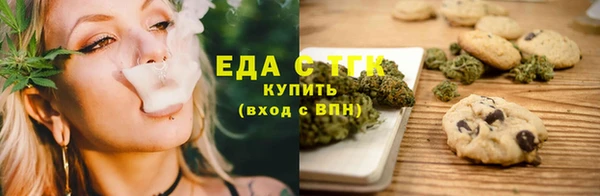 гашик Козловка