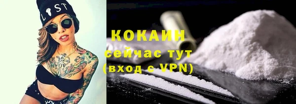 гашик Козловка