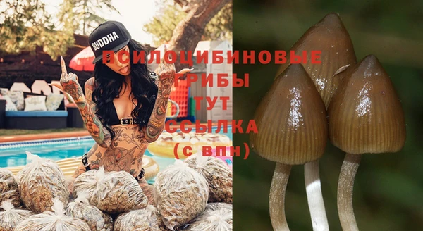 трава Кодинск