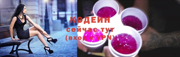 хмурый Козельск