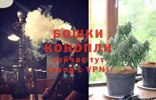гашик Козловка