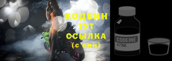 гашик Козловка