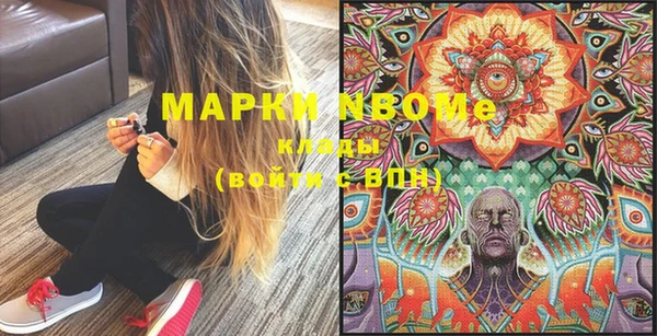 гашик Козловка