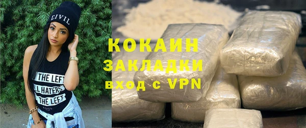 гашик Козловка