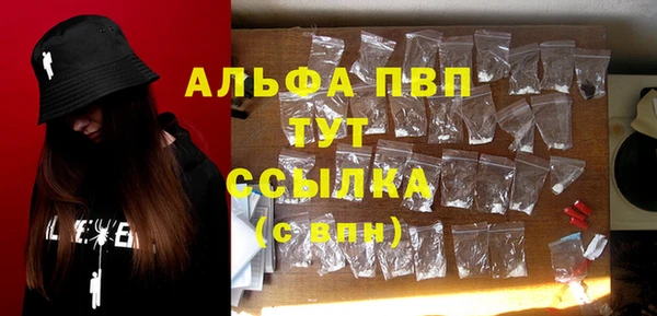 гашик Козловка