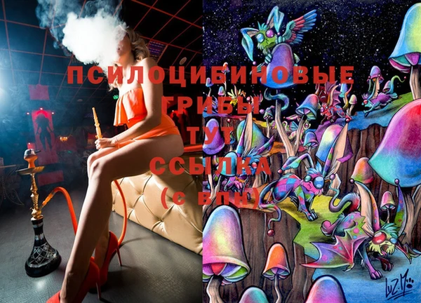 хмурый Козельск