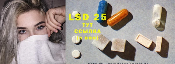 гашик Козловка