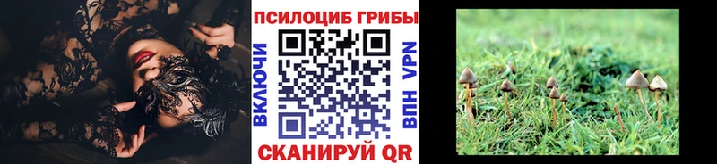 Купить закладки Байкальск Псилоцибиновые грибы Psilocybine cubensis
